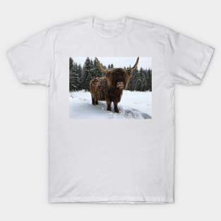 Scottish Highland Cattle Cow 2305 T-Shirt